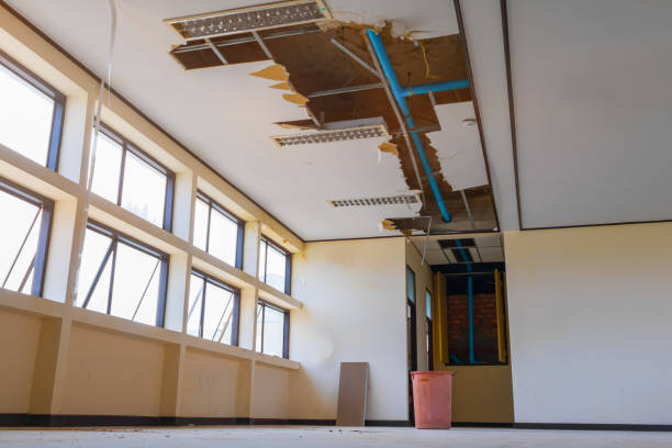 Best Mold removal after water damage  in Phillips, WI