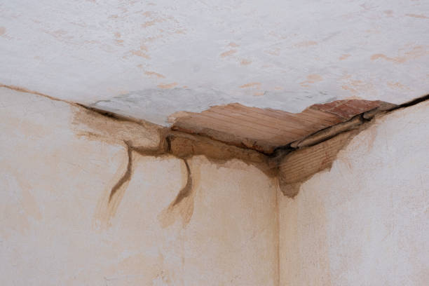 Best Flood restoration services  in Phillips, WI