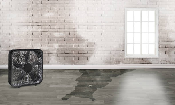 Best Sewage cleanup and water damage restoration  in Phillips, WI