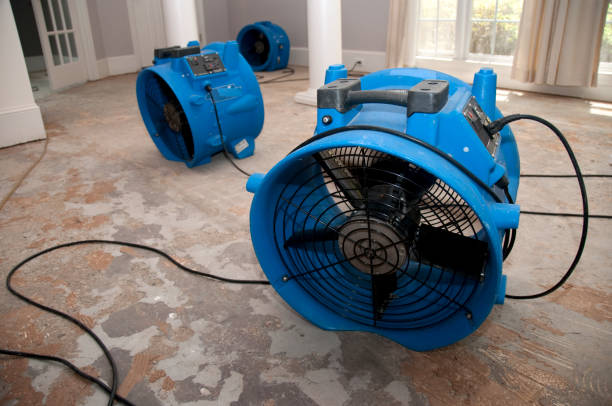 Best Carpet water damage restoration  in Phillips, WI